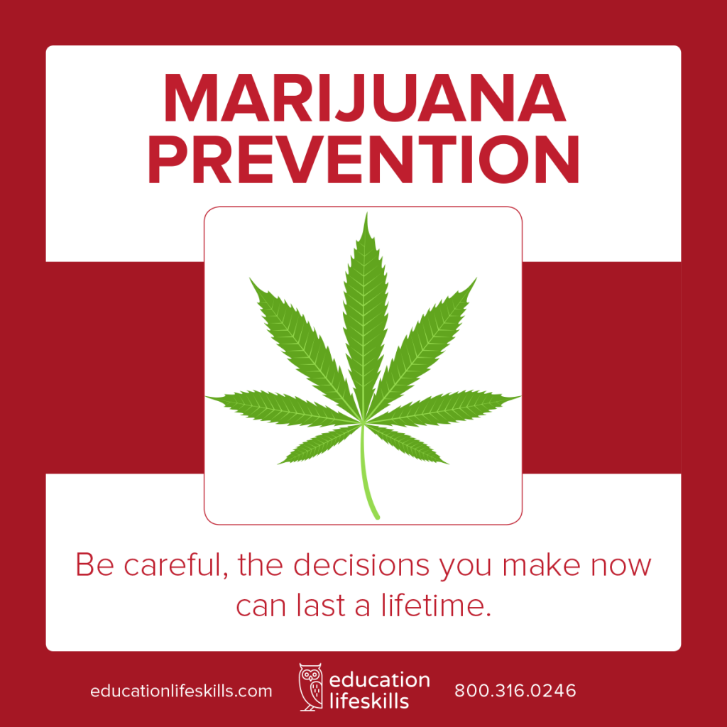 Marijuana Prevention Course for Teens Education Lifeskills